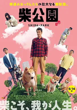 韩国v欧美v日本v亚洲v