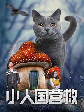 一级成人毛片