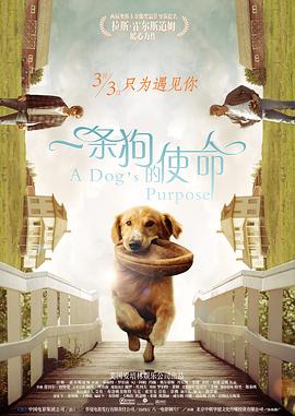 一个色综合久久