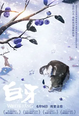 刺激视频h