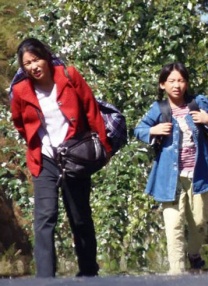 美女视频免费看黄的