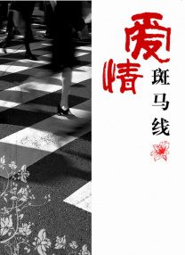 疗愈伴侣