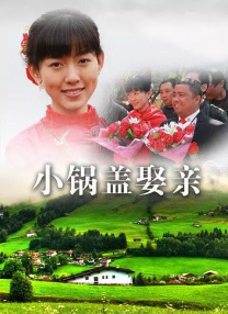 1717she精品视频在线观看