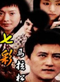 第二婚的小妻子