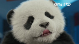 知识产权年会
